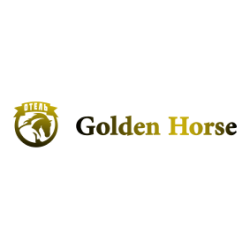 Портфолио гостиницы Golden Horse Hotel в Москве